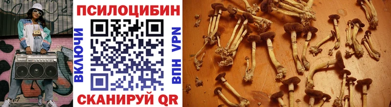 Галлюциногенные грибы Magic Shrooms Обнинск